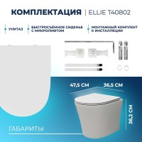 Унитаз подвесной Teymi Ellie T40802 с микрофлитом, безободковый, белый