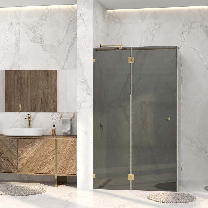 Душевой уголок Wasserkraft Ems 76H07-TG 120х90 см, стекло тонированное, фурнитура золото