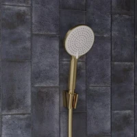 Настенный держатель IDDIS Optima Home 080MG00i53 матовое золото Настенный держатель IDDIS Optima Home 080MG00i53 матовое золото