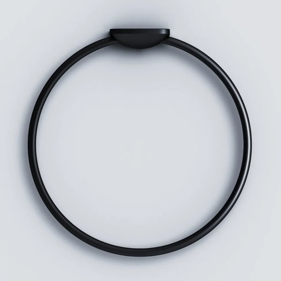 Держатель для полотенец AM.PM Inspire 2.0 A50A34422 черный, кольцо
