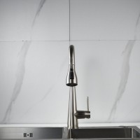 Смеситель для кухни с выдвижным изливом Shevanik S363L, сатин