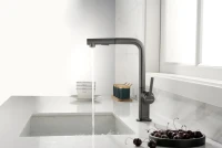 Смеситель для кухни Paulmark Neo Ne214419-B, беретта Смеситель для кухни Paulmark Neo Ne214419-B, беретта