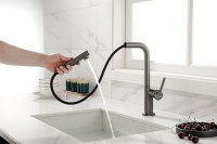 Смеситель для кухни Paulmark Neo Ne214419-B, беретта
