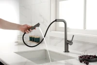 Смеситель для кухни Paulmark Neo Ne214419-B, беретта Смеситель для кухни Paulmark Neo Ne214419-B, беретта