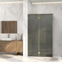 Душевой уголок Wasserkraft Ems 76H10-TG 120х100 см, стекло тонированное, фурнитура золото