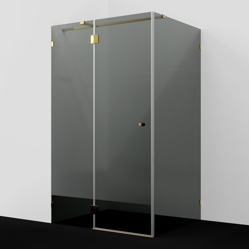 Душевой уголок Wasserkraft Ems 76H10-TG 120х100 см, стекло тонированное, фурнитура золото