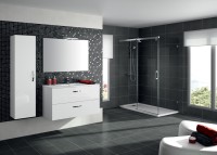 Мебель для ванной комнаты Jacob Delafon Ola 100 белый блестящий