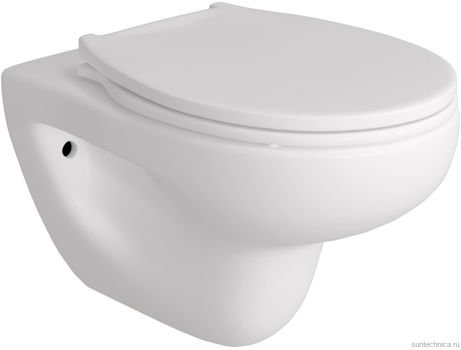 Унитаз подвесной Teymi Hanna Pro T40901 с микрофлитом, безободковый, белый