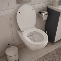 Унитаз подвесной Teymi Hanna Pro T40901 с микрофлитом, безободковый, белый
