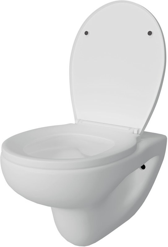Унитаз подвесной Teymi Hanna Pro T40901 с микрофлитом, безободковый, белый