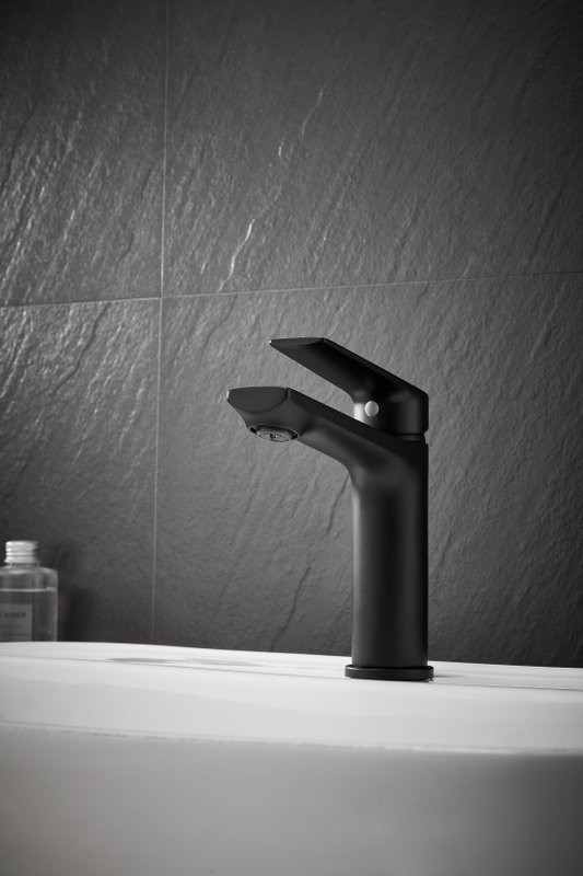 Смеситель для раковины BELZ B10533-7 черный