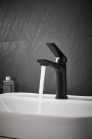 Смеситель для раковины BELZ B10533-7 черный