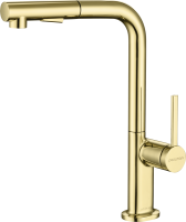 Смеситель для кухни Paulmark Neo Ne214419-G, золото
