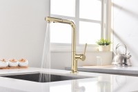 Смеситель для кухни Paulmark Neo Ne214419-G, золото