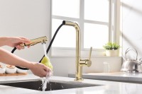 Смеситель для кухни Paulmark Neo Ne214419-G, золото
