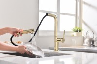 Смеситель для кухни Paulmark Neo Ne214419-G, золото