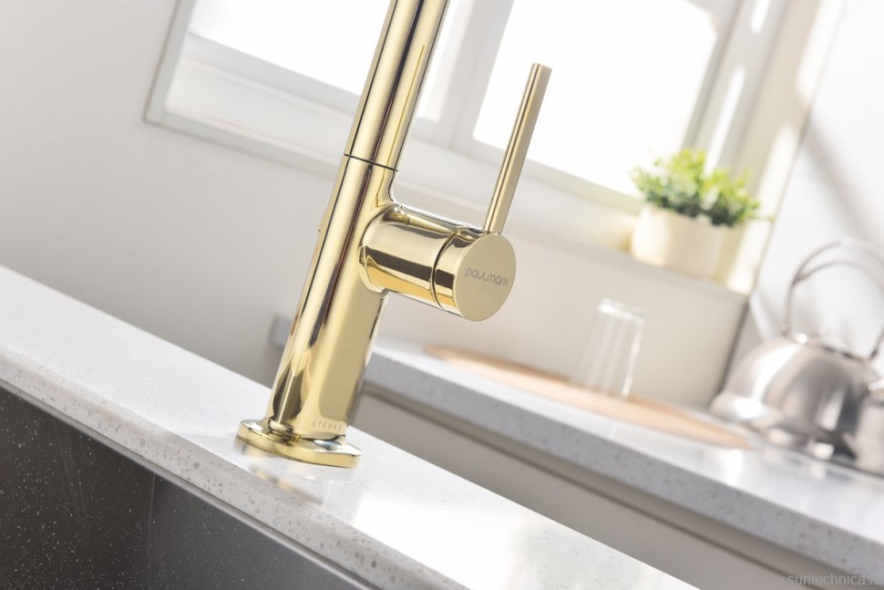 Смеситель для кухни Paulmark Neo Ne214419-G, золото
