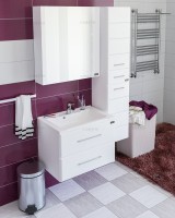 Шкаф пенал для ванной СаНта Омега 30 подвесной