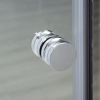 Душевая дверь в нишу Wasserkraft Vils 56R 05 120 см