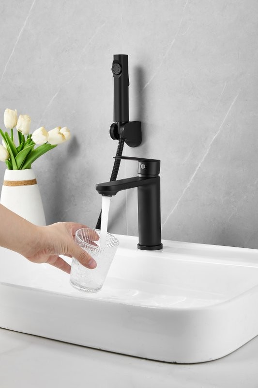 Комплект для раковины BELZ B713 B12713-7 с гигиеническим душем, матовый черный