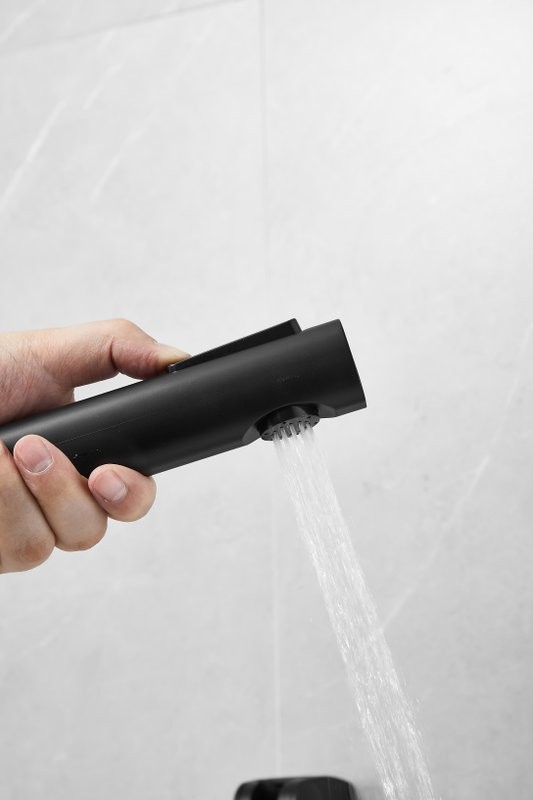 Комплект для раковины BELZ B713 B12713-7 с гигиеническим душем, матовый черный