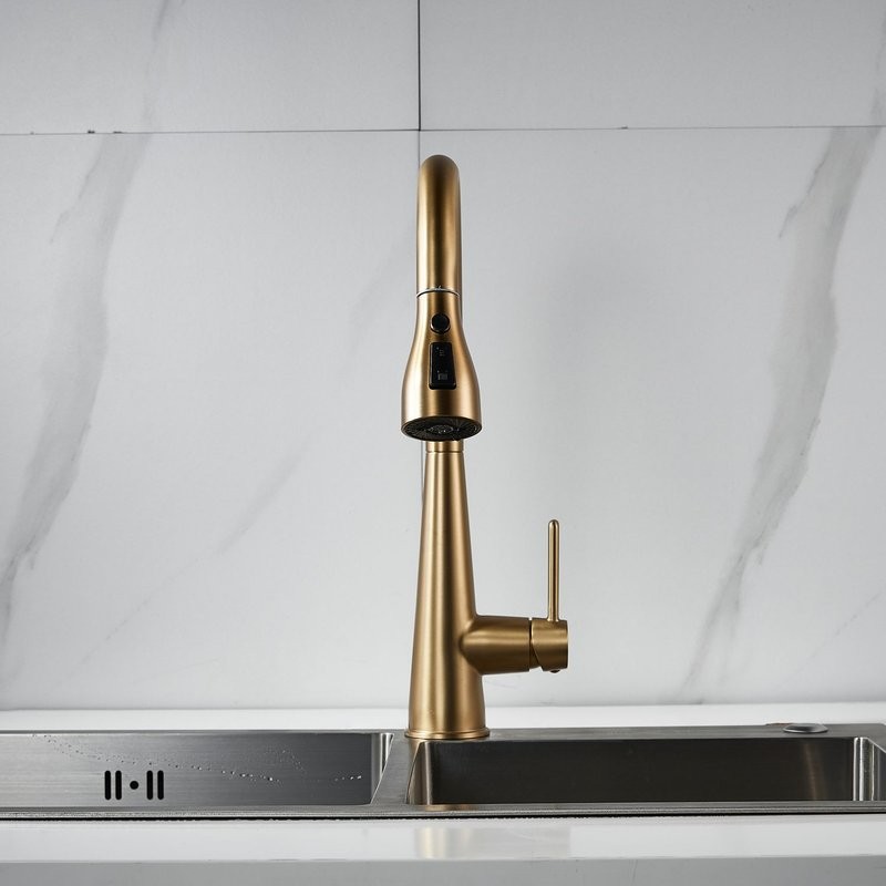 Смеситель для кухни с выдвижным изливом Shevanik S363G, золотой сатин