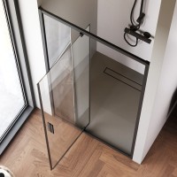 Душевая дверь в нишу AM.PM Gem W90G-100-1P-BT 100 см