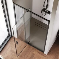 Душевая дверь в нишу AM.PM Gem W90G-100-1P-BT 100 см Душевая дверь в нишу AM.PM Gem W90G-100-1P-BT 100 см