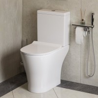 Унитаз-компакт напольный Damixa Sirius DX86C8600SC безободковый, с микролифтом