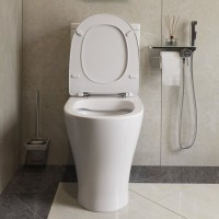 Унитаз-компакт напольный Damixa Sirius DX86C8600SC безободковый, с микролифтом