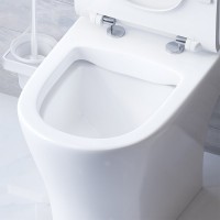 Унитаз-компакт напольный Damixa Sirius DX86C8600SC безободковый, с микролифтом