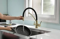 Смеситель для кухни Paulmark Siegen Si213111-G золото, с гибким изливом