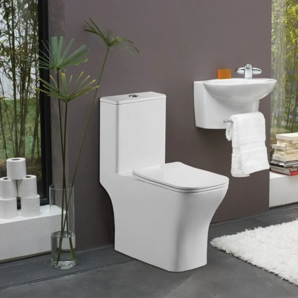 Унитаз моноблок Azario Lodi 665x350x750 напольный, горизонтальный слив, сиденье дюропласт микролифт AZ-8617