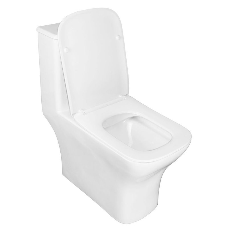 Унитаз моноблок Azario Lodi 665x350x750 напольный, горизонтальный слив, сиденье дюропласт микролифт AZ-8617