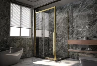 Душевой уголок Veconi Premium Trento PTC-SP-30G 120x80, профиль брашированное золото, стекло прозрачное
