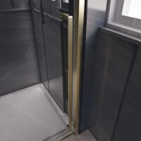 Душевой уголок Veconi Premium Trento PTC-SP-30G 120x80, профиль брашированное золото, стекло прозрачное