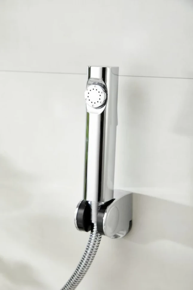 Комплект для раковины BELZ B713 B12713 с гигиеническим душем