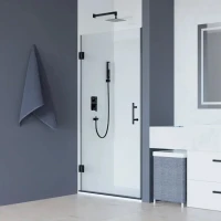 Душевая дверь в нишу RGW Hotel HO-011-B 600х1950 профиль черный, стекло прозрачное