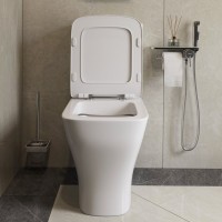 Унитаз-компакт напольный Damixa Titan DX78C8600SC безободковый, с микролифтом