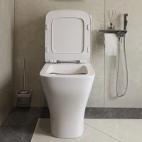 Унитаз-компакт напольный Damixa Titan DX78C8600SC безободковый, с микролифтом