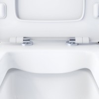 Унитаз-компакт напольный Damixa Titan DX78C8600SC безободковый, с микролифтом