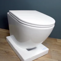 Унитаз подвесной Teymi Lina S T40102 с микрофлитом, безободковый, белый