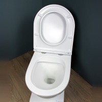 Унитаз подвесной Teymi Lina S T40102 с микрофлитом, безободковый, белый