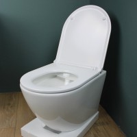 Унитаз подвесной Teymi Lina S T40102 с микрофлитом, безободковый, белый