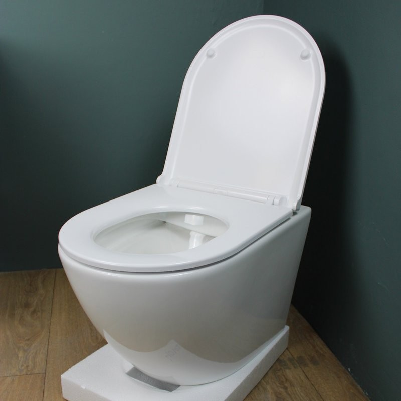 Унитаз подвесной Teymi Lina S T40102 с микрофлитом, безободковый, белый