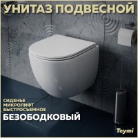 Унитаз подвесной Teymi Lina S T40102 с микрофлитом, безободковый, белый