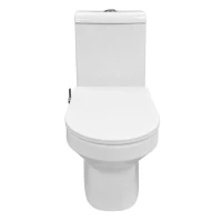 Унитаз-моноблок Azario Brusco AZ-1085B Унитаз-моноблок Azario Brusco AZ-1085B