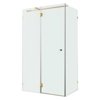 Душевой уголок Wasserkraft Ems 76H10L-MG 120х100 см, стекло матовое, фурнитура золото