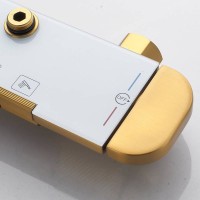 Душевая стойка Shevanik S4726G