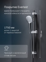 Душевой гарнитур AM.PM Gem F0190100 хром Душевой гарнитур AM.PM Gem F0190100 хром